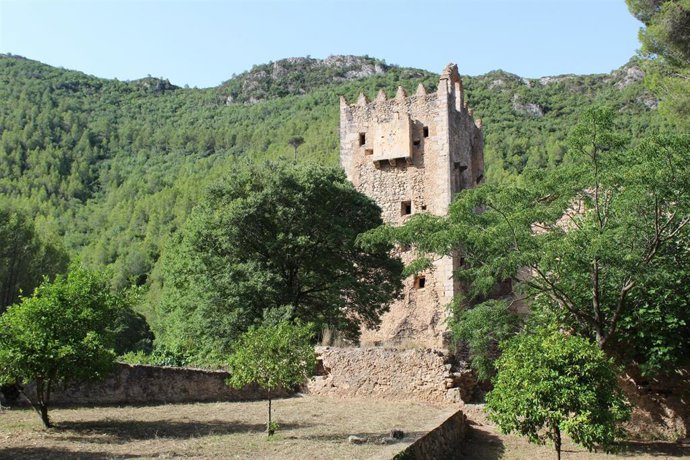 Tueste de los Palomos, en Alzira (Valencia)