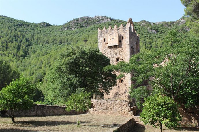 Tueste de los Palomos, en Alzira (Valencia)