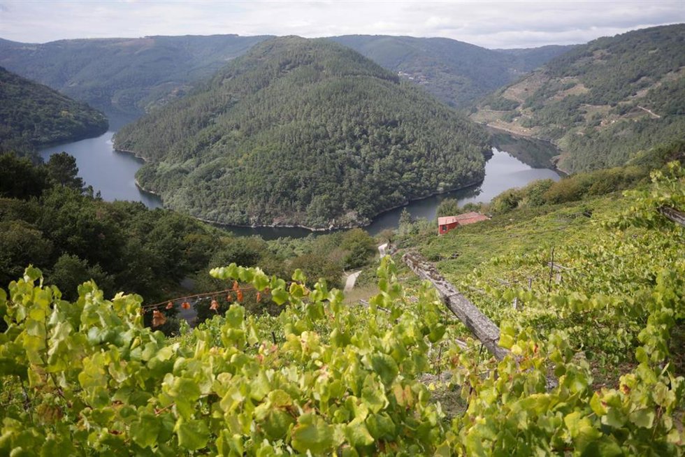 Archivo - El mirador de Cabo do Mundo, sobre el río Miño, en la Ribeira Sacra, a 1 de octubre de 2021,en Saviñao, Lugo, Galicia, (España). El Consejo Internacional de Coordinación del Programa Man and the Biosphere (MaB) de la Unesco aprobó este mes de se