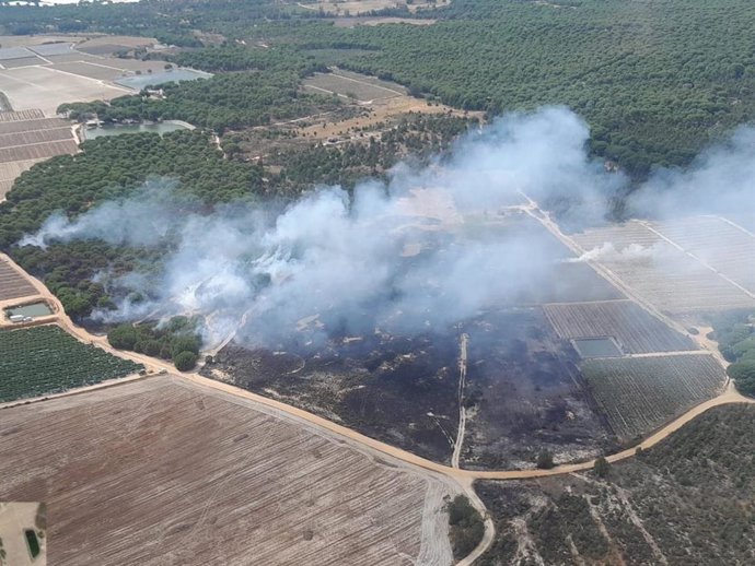 Incêndio declarado na área de El Pilonar, em Lucenal del Puerto.