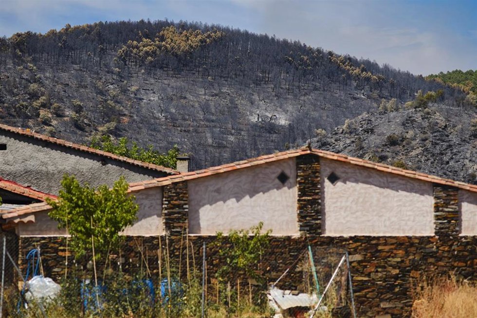 Superficie forestal quemada durante el incendio forestal, a 19 de julio de 2026, en Muriel, Guadalajara, Castilla-La Mancha (España). Los trabajos de extinción están siendo muy complicados debido a la fuerza del viento, que está empujando las llamas hacia