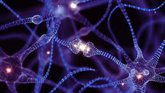 Foto: Un compuesto podría cambiar el tratamiento del Parkinson: potencia la L-DOPA y reduce sus efectos secundarios