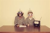 Foto: ¿La geometría es innata? Un estudio encuentra sorprendentes similitudes entre niños y monos