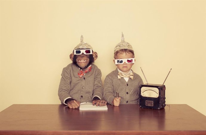 Archivo - Un niño y un chimpancé.