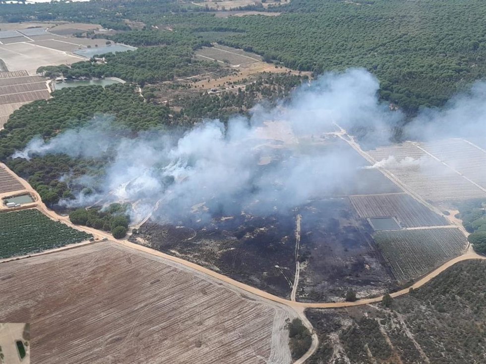 Incendio declarado en el Paraje El Pilonar de Lucena del Puerto (Huelva).