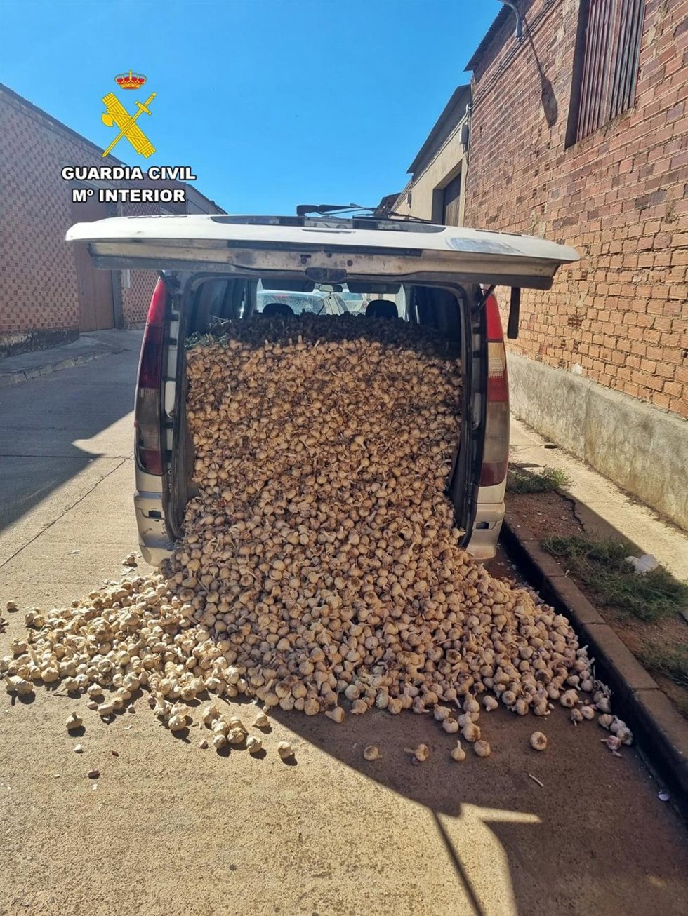 Furgoneta en la que trasladaban los ajos robados
