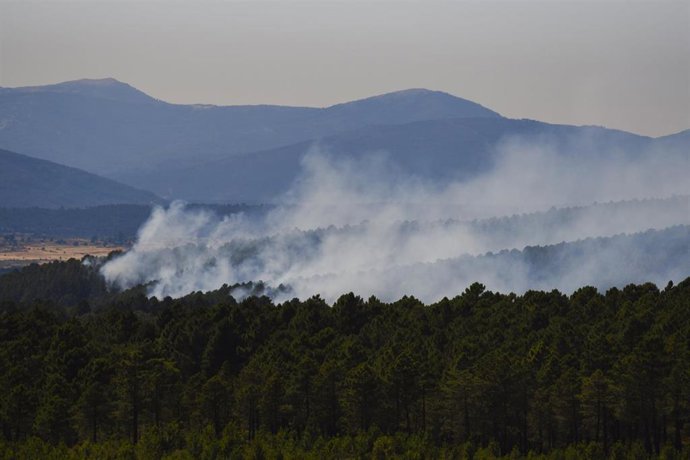 Superficie forestal quemada durante el incendio forestal, a 19 de julio de 2026, en Muriel, Guadalajara, Castilla-La Mancha (España). Los trabajos de extinción están siendo muy complicados debido a la fuerza del viento, que está empujando las llamas hacia
