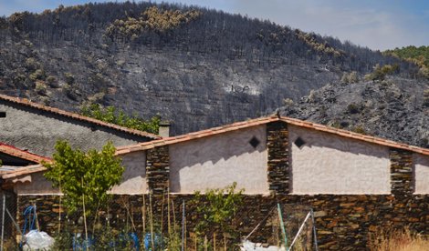 Responsables