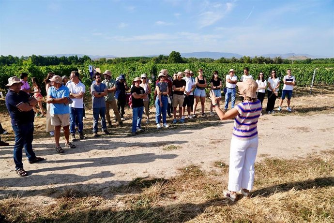 Una jornada aborda las experiencias llevadas a cabo en La Rioja de resistencia a las plagas del oídio y mildiu en el viñedo.