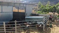 El incendio de Los Gallardos (Almería) afecta a 19 explotaciones ganaderas y quema 7.043 hectáreas