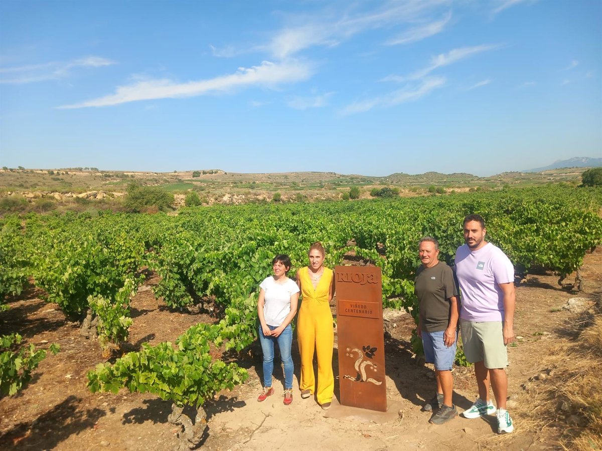 Rioja reivindica la singularidad de sus Viñedos Viejos y Centenarios; joyas paisajísticas ejemplos de resiliencia