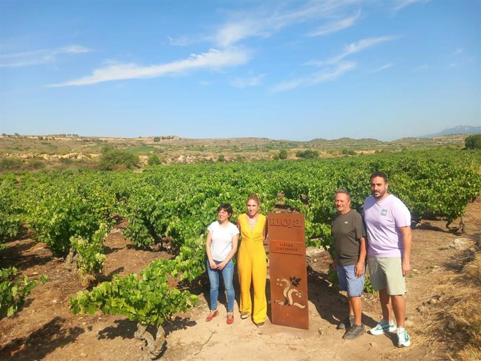 Rioja reivindica el mayor Viñedo Viejo y Centenario de España.  Se ha instalado el primer monolito identificativo de un Viñedo Centenario de la Denominación en una parcela de Elciego.