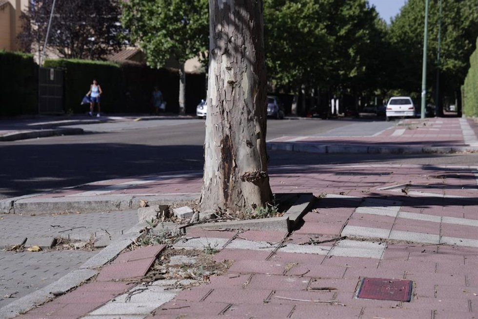 La calle Atenas, en la urbanización de Santa Ana, con las aceras levantadas.