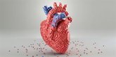 Foto: Investigadores del CNIC obtienen un mapa virtual que muestra cómo se forma el corazón de los mamíferos