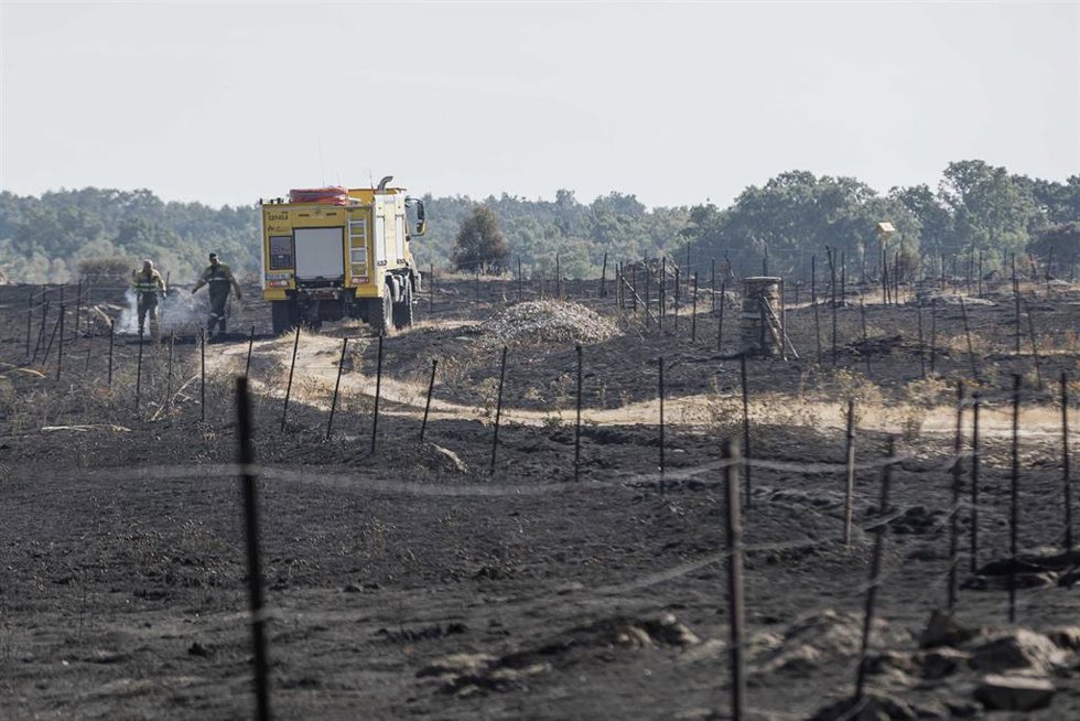 Un Charli de la Junta realiza labores de extinción, a 21 de julio de 2026, en Brieva, Segovia, Castilla y León (España). El Cecopi de Segovia ha ordenado la evacuación de ochos municipios, Tenzuela, Losana de Pirón, Carrascal de la Cuesta, La Cuesta, Alde