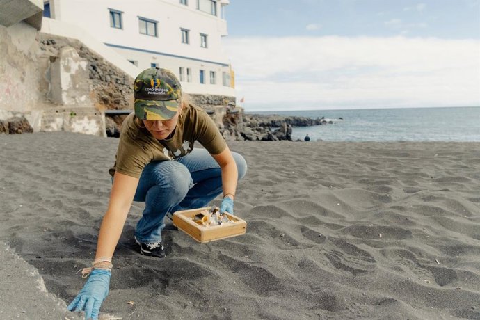 Jornada de limpieza en una playa organizada por Loro Parque