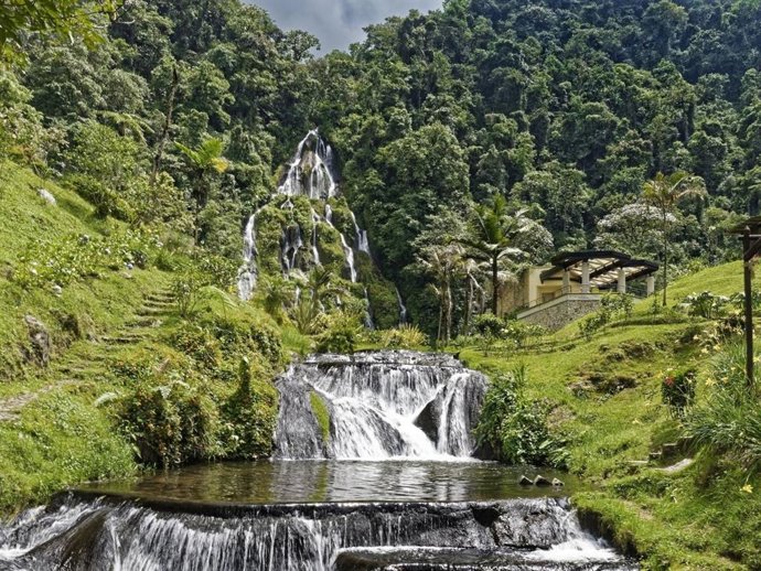 Turismo de bienestar en Antioquia: del forest bathing a las termales en un vuelo directo
