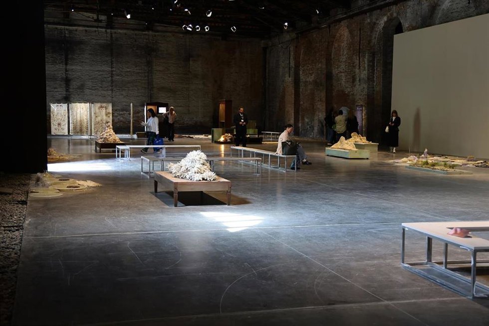Archivo - La 61.ª Exposición Internacional de Arte de la Bienal de Venecia.
