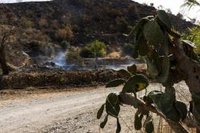 Clausurado el Centro de Integración de Datos tras identificar a las 13 víctimas del incendio de Los Gallardos (Almería)