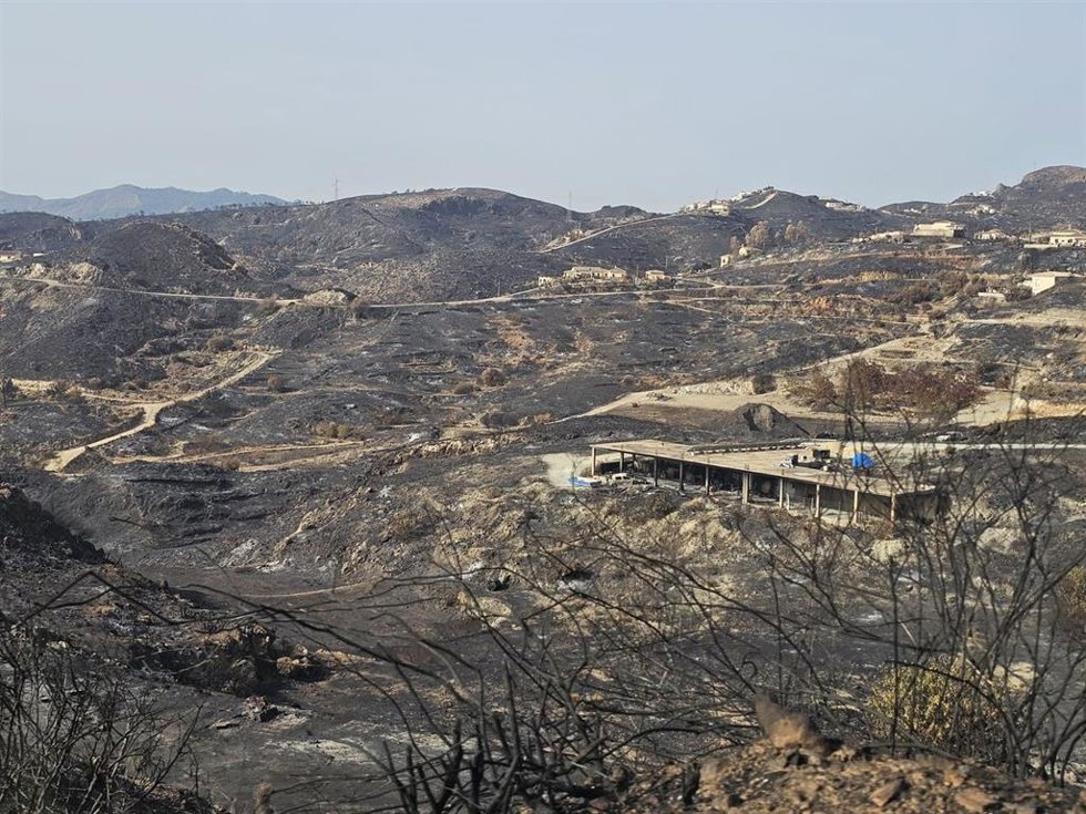 Zona calcinada por el incendio forestal de Los Gallardos (Almería).
