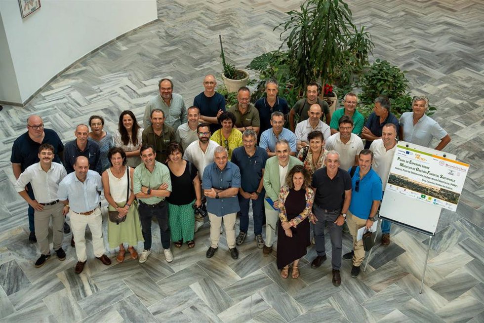 Panel de Expertos sobre modelos de gestión forestal sostenible para el Plan de Ordenación de los Recursos Forestales de la Comarca Sierra de Huelva (PORF-CSH), en el marco del proyecto europeo Firepoctep+.
