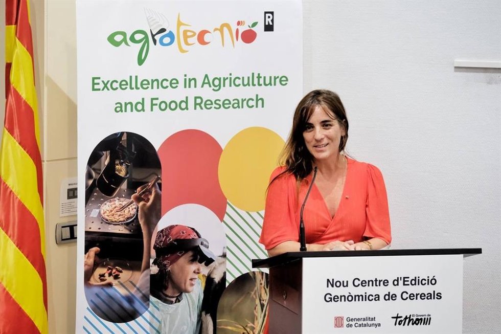 La consellera de Investigación y Universidades, Núria Montserrat