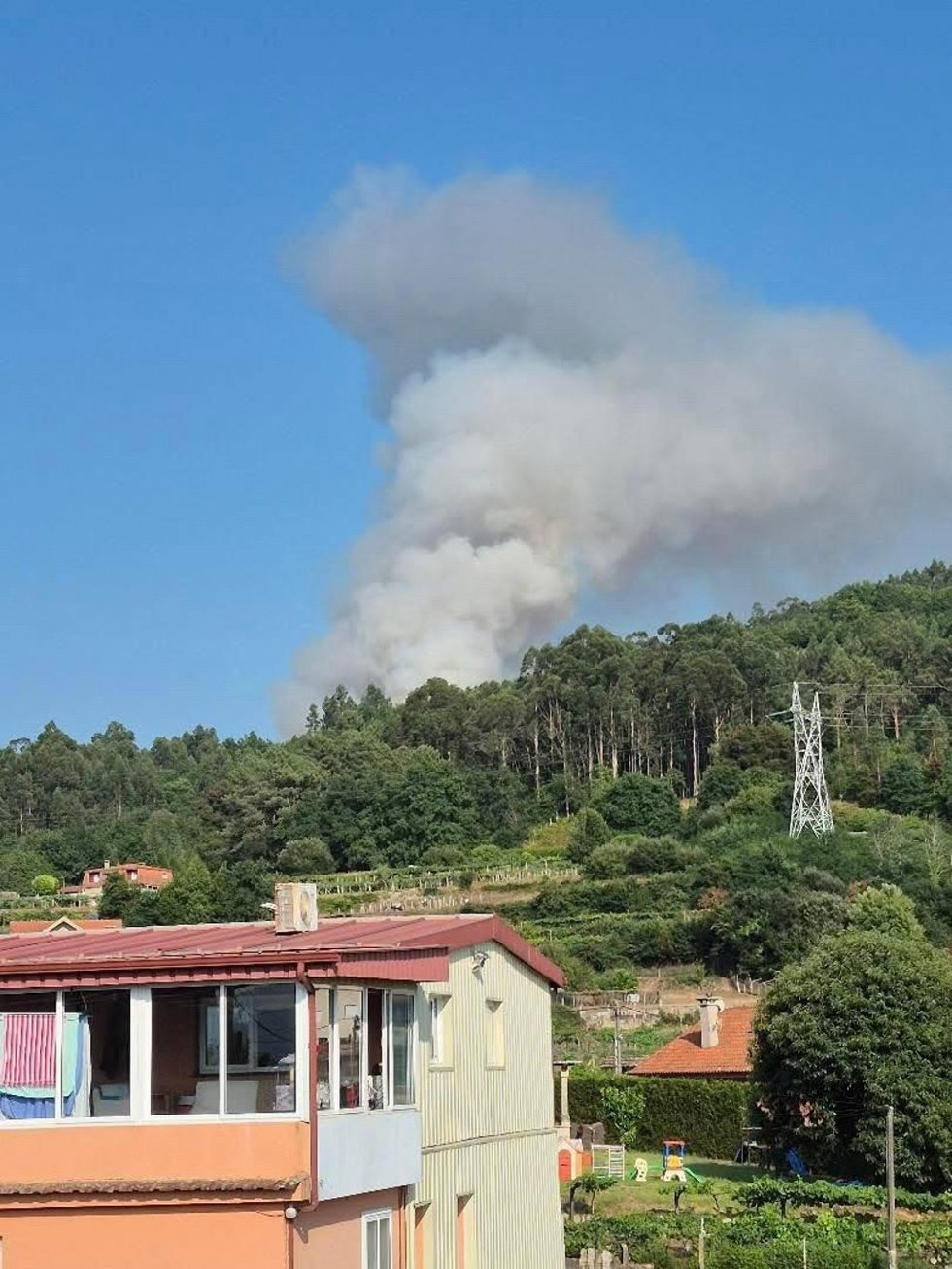 Incendio forestal en Pazos de Borbén.