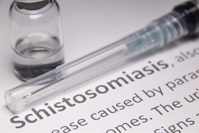 Archivo - Schistosomiasis, esquistosomiasis
