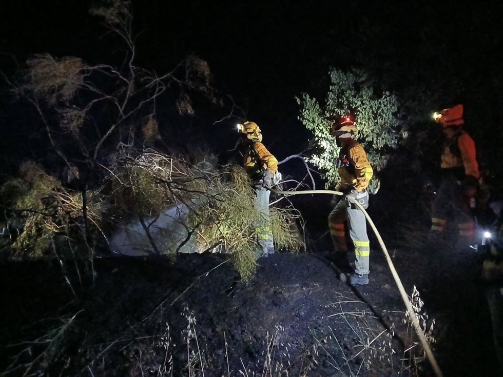 Conato de incendio forestal en Fontanares (Lorca)