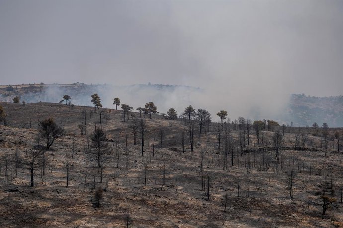 O incêndio em Ejulve atingiu cerca de 1.400 hectares.