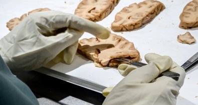 Investigación