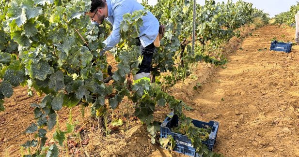 EpAgro - Agricultura