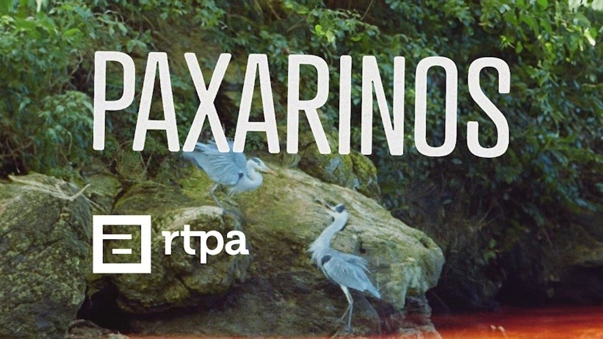 TPA estrena este viernes la serie documental  Paxarinos , dedicada a las aves y la naturaleza de Asturias