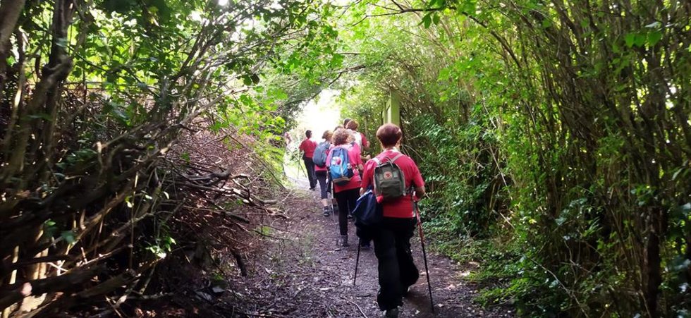 Archivo - Grupo de peregrinos del Camino de Santiago. Imagen de archivo