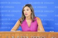 PSOE-A urge un Parlamento "a pleno rendimiento" y pregunta qué hará la Junta "negacionista" contra la violencia machista