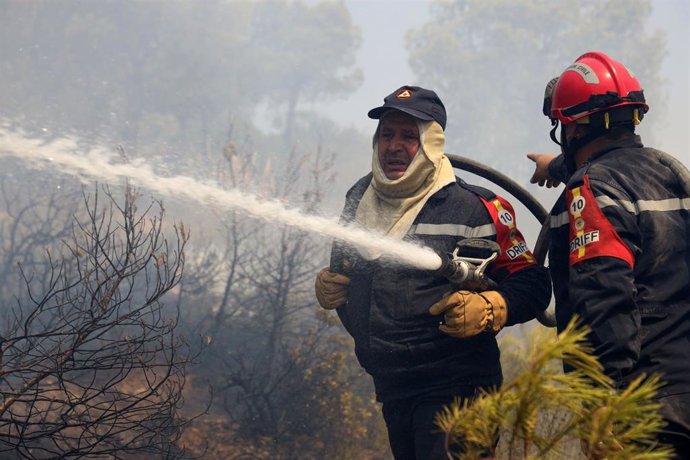 Bomberos luchan contra un incendio forestal en El Hachimia, en el norte de Argelia, en julio de 2026 (archivo)
