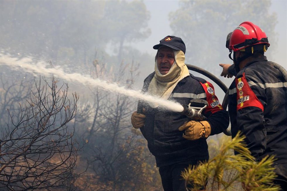 Bomberos luchan contra un incendio forestal en El Hachimia, en el norte de Argelia, en julio de 2026 (archivo)