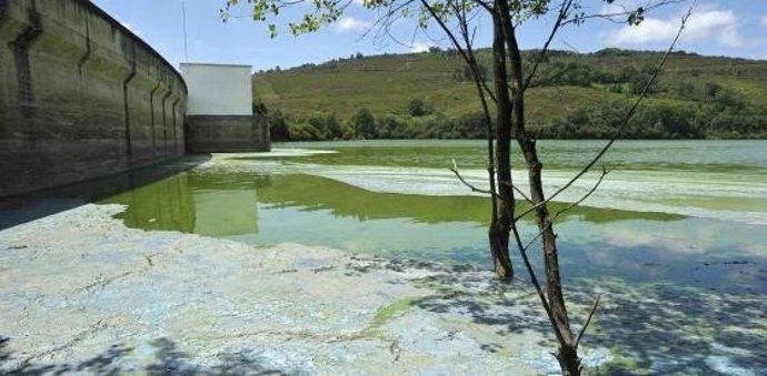 Contaminación por nitratos