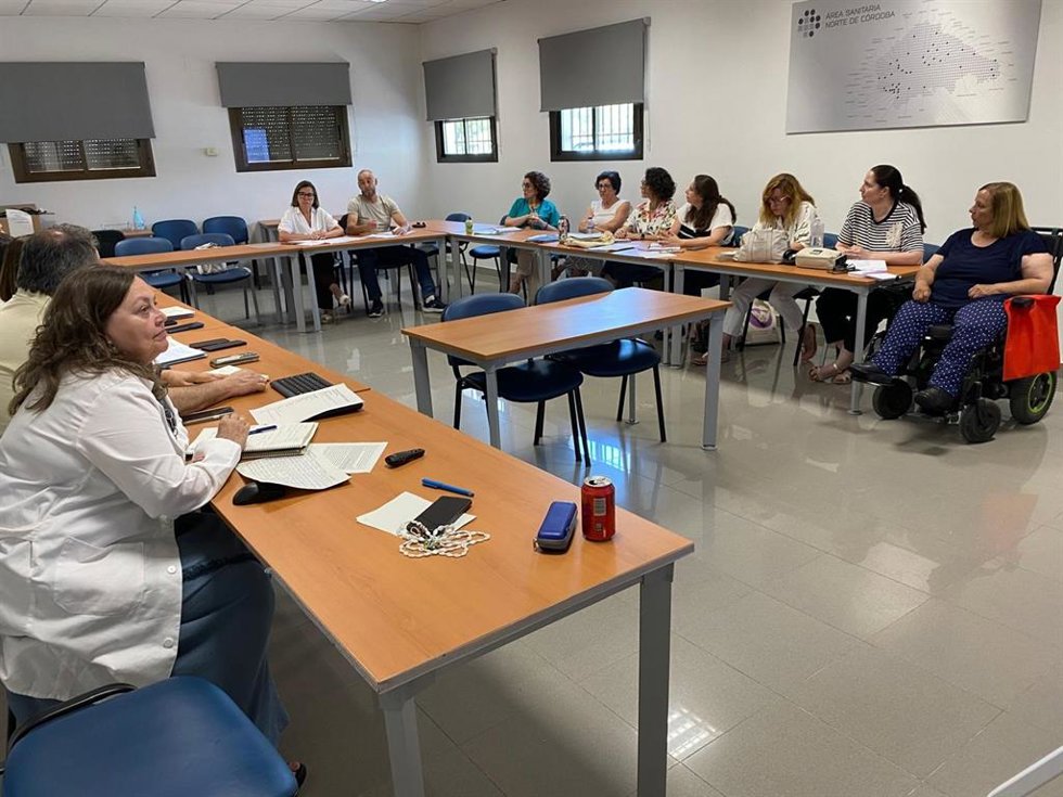 Comisión consultiva de Participación Ciudadana.
