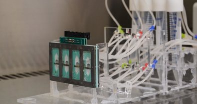 Investigación