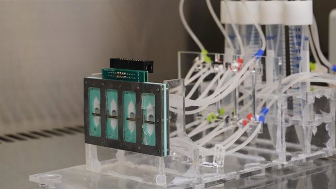 Desarrollan un "corazón en un chip"