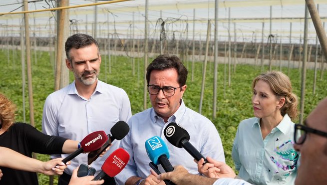 Es Andalucía - Sevilla