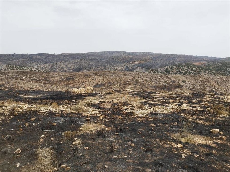 El incendio de Ejulve (Teruel)  ha calcinado unas 1.400 hectáreas.