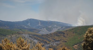 Castilla-La Mancha