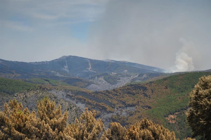 Extensión forestal quemada por el incendio, a 18 de julio de 2026, en La Mierla, Guadalajara, Castilla-La Mancha (España). El fuego sigue activo en varios frentes y avanza hacia el municipio de Semillas, ha obligado a evacuar a 529 vecinos de once municip