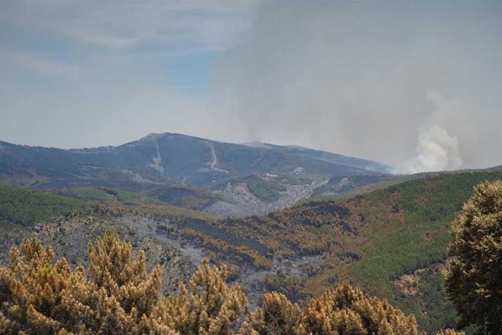 Extensión forestal quemada por el incendio, a 18 de julio de 2026, en La Mierla, Guadalajara, Castilla-La Mancha (España). El fuego sigue activo en varios frentes y avanza hacia el municipio de Semillas, ha obligado a evacuar a 529 vecinos de once municip