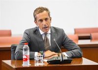 El Parlamento andaluz avala la idoneidad de Zancajo como senador de Vox por la comunidad con el rechazo de la izquierda