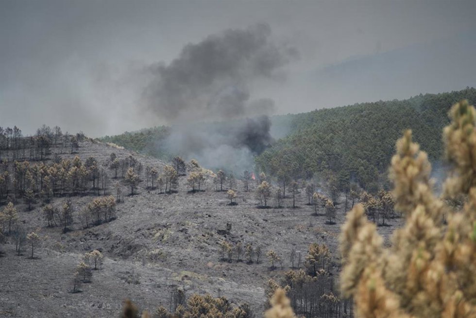 Extensión forestal quemada por el incendio, a 18 de julio de 2026, en La Mierla, Guadalajara, Castilla-La Mancha (España). El fuego sigue activo en varios frentes y avanza hacia el municipio de Semillas, ha obligado a evacuar a 529 vecinos de once municip