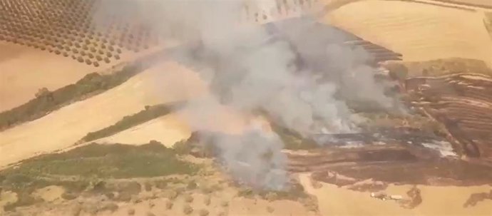 Estabilizado el incendio declarado en Santa Engracia de Jubera (La Rioja)