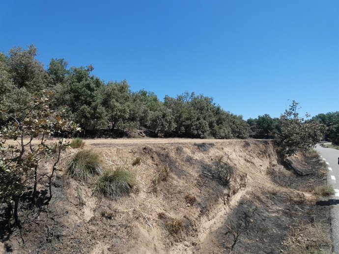 Conseqüències de l'incendi forestal a Pinell de Solsonès (Lleida)